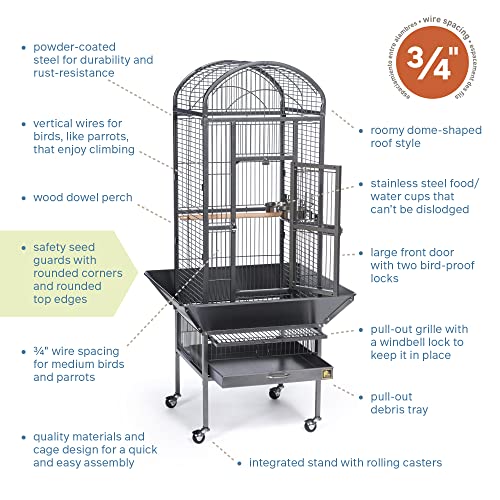 Prevue Pet Products Dome Top Bird Cage with Push Button Locks - Black | Powder‑Coated Steel Cage with Wheels, Seed Guards, and Perch, Ideal for Cockatiels and All Small-Medium Sized Birds - color: Black Hammertone, size: 18.0"L x 18.0"W x 54.6"H