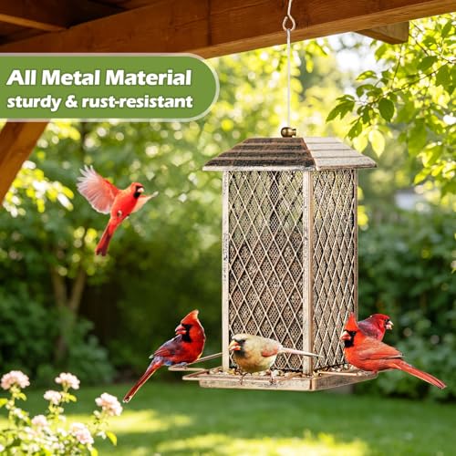 Bird Feeder, Heavy Duty Metal Bird Feeders for Outdoor Hanging | 3LB Large Capacity, 4 Perches, Wild Birdfeeder, Sturdy, Easy to Fill, For Outside Garden Yard - color: Small, 3 lbs