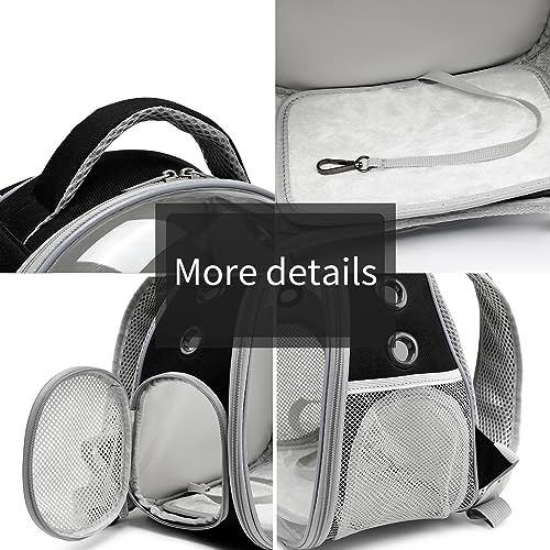 Portable Travel pet Backpack Carrier Hamster Bag Guinea Pig Bird Small Dog cat Turtle Carrier Rabbit Cage Squirrel Bearded Dragon Breathable Hangbag (Black) - color: black