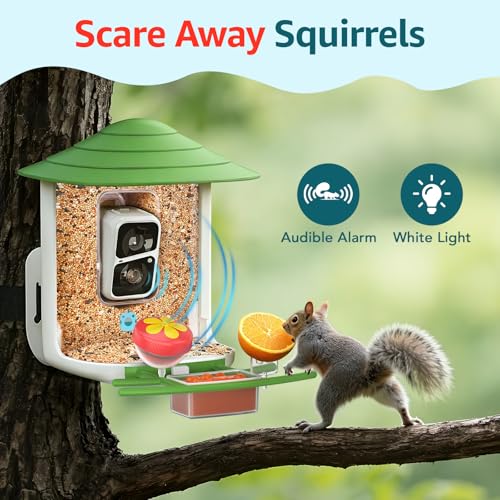birdsnap® TUC Bird Feeder with Camera Solar Powered 2K Video with 32GB Card | AI Bird Species Identification, Squirrel-Proof, IP65 Waterproof, Outdoor Wireless, 2.4G WiFi, Gift for Mom Dad Bird Lovers - color: Green