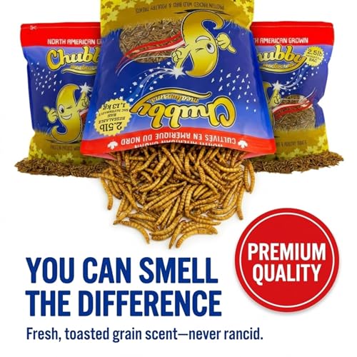 Chubby North American Grown Dried Mealworms | 7.5 lbs | Non-GMO High-Protein Treats for Chickens, Ducks & Wild Birds – Sustainable Chicken Feed - size: 7.5 Pound (Pack of 3)