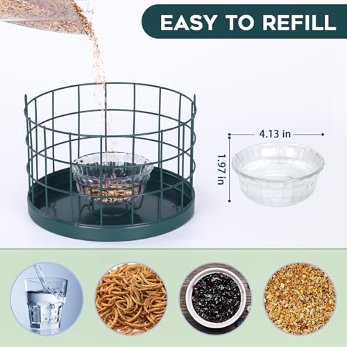 Gbekery Caged Bluebird Feeder for Mealworms with Glass Bowl, Squirrel Proof Bird Feeder for Small Birds Only, Detachable Hook, Large Space, Outdoors Weatherproof, Metal, Green - style: Green Glass Bowl