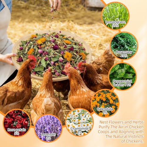 Chicken Nesting Herbs 52oz Large Value Natural 7-Herb Lemongrass Blend | Keeps Coops Fresh Naturally, Flexible for Chickens, Ducks & More, Ideal for Nesting Boxes, Bedding & Dust Baths