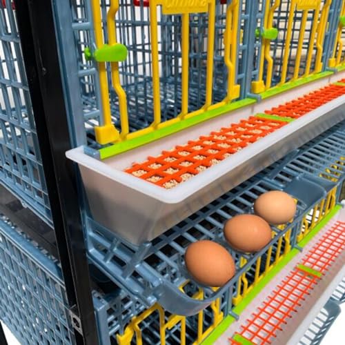 Chicken Cage - 3 Layer H: 15" (Power-Washable, Durable, PP Plastic (Polypropylene) | Hatching Time