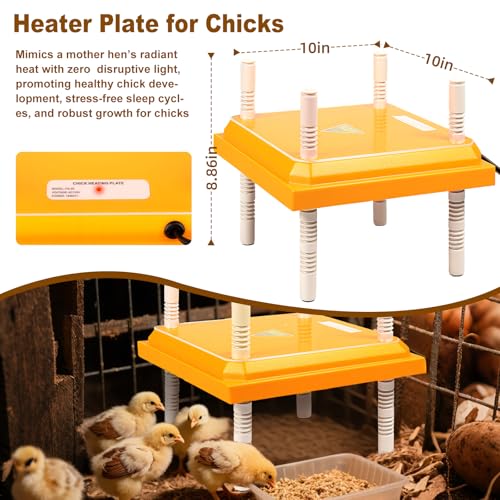 Chick Brooder Heating Plate,10"x10" Heat Plate for Chicks with Thermostatic Anti-Slip Adjustable Height & Angle,15 Watts Brooder Heater for Chicks Warm Like Mother Hen