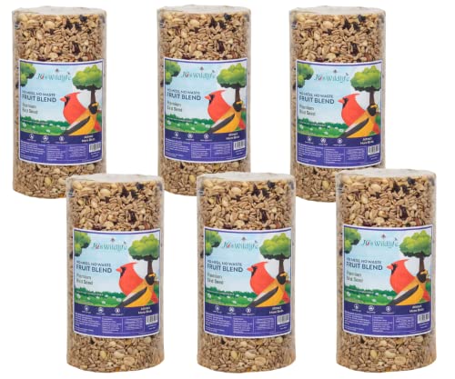 JCs Wildlife No Mess No Waste Fruit Blend Bird Seed Cylinder with Hole, Hull Free Wild Bird Food for Outside Feeders, Cardinals Woodpeckers Chickadees Nuthatches Wrens, Made in the USA, 2 lb Pack of 6 - size: 2 Pound (Pack of 6)