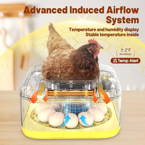 Incubator for Hatching Eggs, 12 Eggs Incubator with Automatic Egg Turning, Temperature & Humidity Control, LED Egg Candler, Incubation Days Display, for Chicken, Duck, Quail, Parrot Bird Eggs