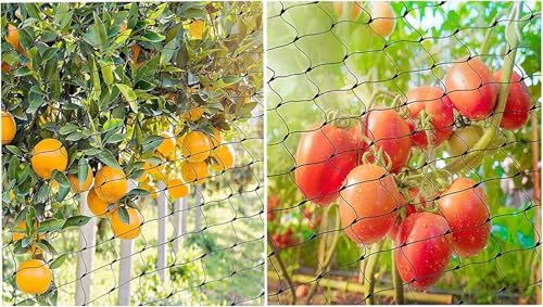 Bird Netting for Garden, 13Ft x 33Ft Reusable Garden Netting Plants Barrier, Plant Mesh Net Protect Fruit Tree Seedlings Plants from Birds, Cicadas, Rodents, Black - color: Black