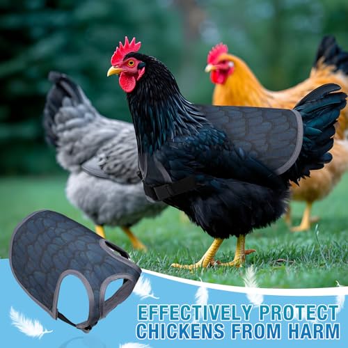 Chicken Saddle for Hens - Chicken Aprons for Hens With Adjustable Straps, Chicken Aprons & Vest Jacket for Hens - style: Black Feather