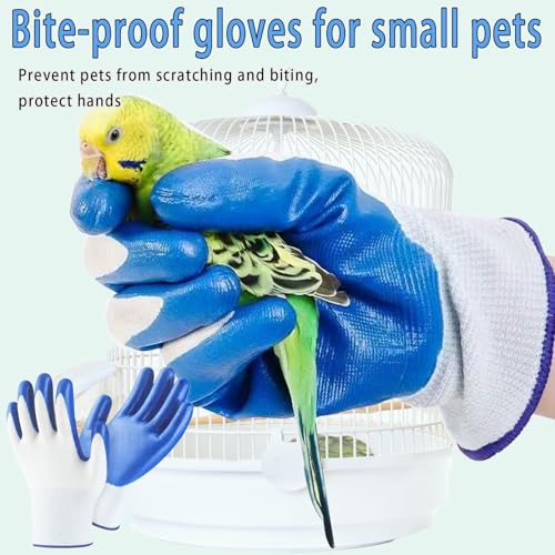 6pcs Set Bird Cage Cleaner Kit - Stainless Steel Poop Remover & Scraper Tool- Essential Bird Cage Accessories for Parakeet Items & Small Animal Cage Cleaning