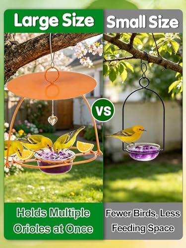 Apipi Large Oriole Feeders for Outdoors with Rain Guard, 14.2 oz Jelly Bowl | 13.4 "x 13.4" Durable Metal Hanging Baltimore Oriole Bird Feeder, Bird Lover Gifts for Backyard Garden Patio Decor