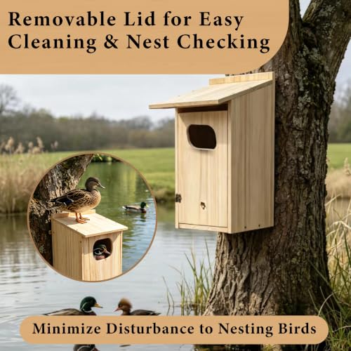 Wood Duck House, Sturdy Weather-Resistant Nesting Box and Shelter | 17x10x10 Inches, Weather-Resistant, for Ducks, Hooded Mergansers & Waterfowl, Ideal for Outdoor Ponds, Wetlands & Backyards