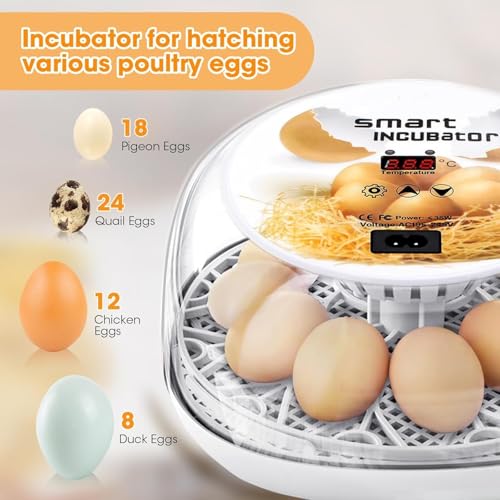 Incubators for Hatching Eggs, Chicken Waterer Cups, Automatic Egg Turner Holds 12 Eggs, Smart Incubator 360° Clear Window with Temperature Display Egg Candler for Small Poultry Chickens Ducks Quails - color: White