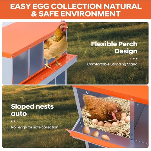 Garvee Chicken Nesting Box, 10 Compartments Nesting Box for Chickens, Galvanized Steel Chicken Laying Box for Easy Egg Collection, Wall Mounting - color: Orange | 10 Compartment+legs