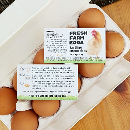 100 Pack Premium Fresh Farm Eggs Handling Instructions Care Accessories Cards Labels | Egg Blank Cartons 4 6 12 15 18 30 48 50 Count Basket Box Container Storing Extra Organizer -M11CH100 - color: Our Grass. 100 Pack. Horizontal.