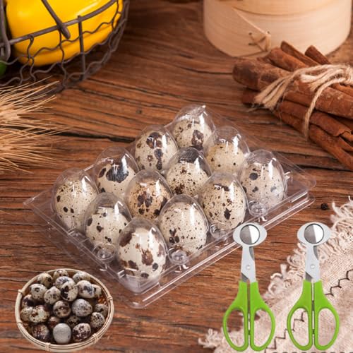 Quail Egg Cartons,12 Grids Small Egg Storage Holders,Quail Eggs Bulk Carton Trays & 2PCS Stainless Steel Cutter
