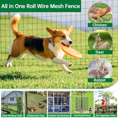 Amagabeli Black PVC Coated Welded Wire Fence 48inch x 50ft 2 Inch x 3 Inch 16 Gauge Chicken Wire Mesh Roll Metal Garden Border Fencing for Yard Vegetable Plant Protection Poultry Netting Cage - size: 2''x3'' 16GA 48''x50'