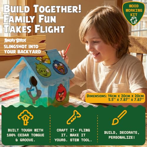 Angry Birds x WildYard DIY Birdhouse Kit - Cedar, Paint Your Own | Build and paint a cedar birdhouse for kids and adults, includes paint set and stencils for backyard birds.