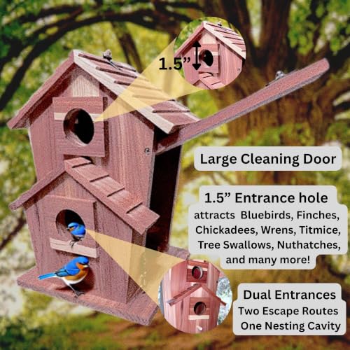 Cedar Bird House for Outside, Wooden Birdhouse for Outdoors, Bluebird House, Hanging Birdhouse with Predator Guard, Large Clean Out Door, All Natural Linseed Oil Finish