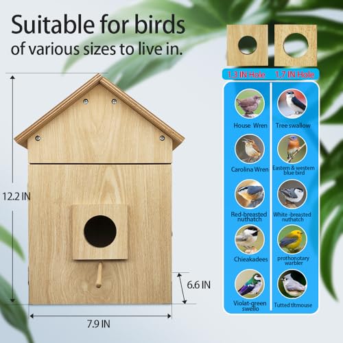 X32D Solar Powered Outdoor Wireless Birdhouse with WiFi Camera | Nesting & Hatching View, Motion Detection, SD Card, Cloud Storage, IR Night Vision, IP65, for Bluebird Swallow Wren Chickadee