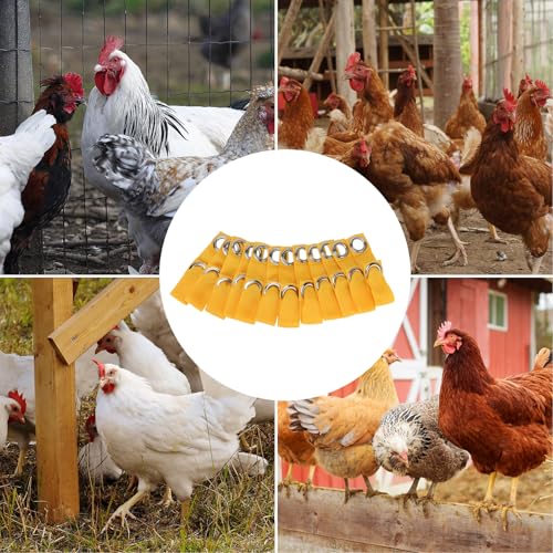 Yellow Tie Cord Hitches, Leash for Game Fowl, Chicken Strap for Poultry, Egg Homestead Strap Tie Cord, Leash for Game Fowl Birds Calsas para Gallos Hitch, Chicken Supplies Accessories (24)