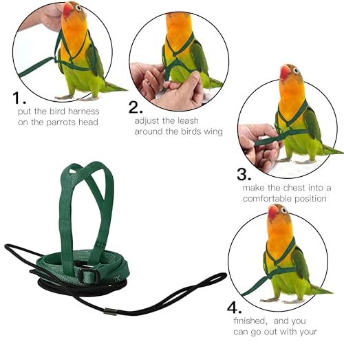 2 pcs Pet Parrot Bird Harness and Leash, Adjustable Training Design Anti-Bite, Outdoor Flying Training Rope Kit for Bird Parrots Fits Birds Chest Between35-62cm /13.78-24.41inch - L (Green - color: green, size: L