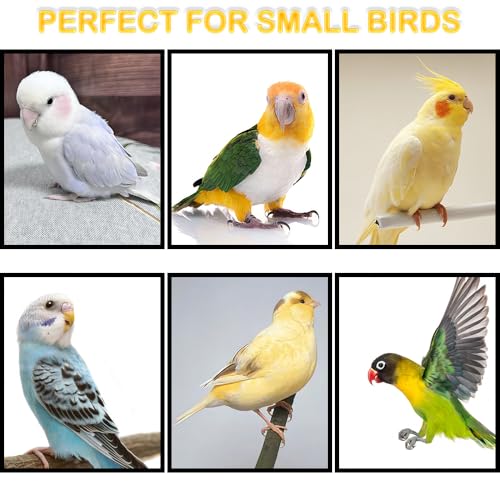 6 Pcs Bird Cage Food Holder Birdcage Foraging Toy Detachable Egg Holder for Small Size Bird Parrot Canary Finch Cockatiel
