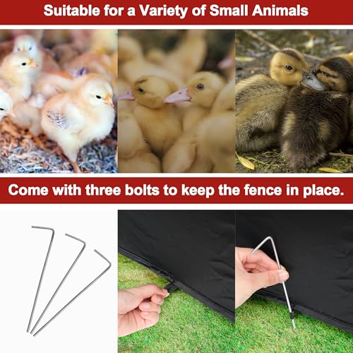 Brooder Box for Chicks, Chicken Brooder Box Starter Brooder Kit