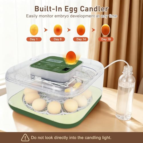 Gen IV – 12 Egg Fully Automatic Incubator, 2026 Upgraded Design, Intelligent Sensor-Based Humidity & Temp Control, Custom Hatch Days, Adjustable Auto Turnn with Auto-Stop, 360° View, Alarm, Candler - size: 12 egg-green