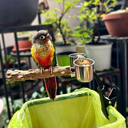 Bird Potty Training Stand with Trash Can Clip, Natural Wood Parrot Perch with 2 Stainless Steel Bowls for Cockatiels, Conures, Budgies, Lovebirds,4248-1