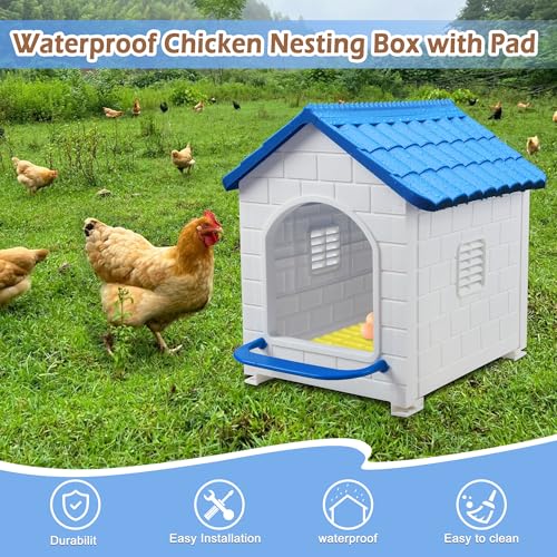 Nesting Boxes for Chicken, Plastic Single Compartment Chicken Nesting Box | for Laying Eggs for Hens, Ducks and Poultry - Blue - color: Blue