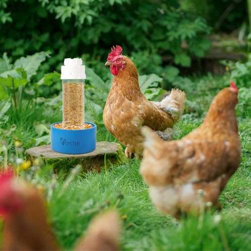 Kalekey 2 Pack Transparent PVC Chicken Feeder, Oyster Shell and Grit Feeder Hanging Ground Chicken Coop Feeder with Hanging Hook for Hens & Chicks (Blue) - color: Blue