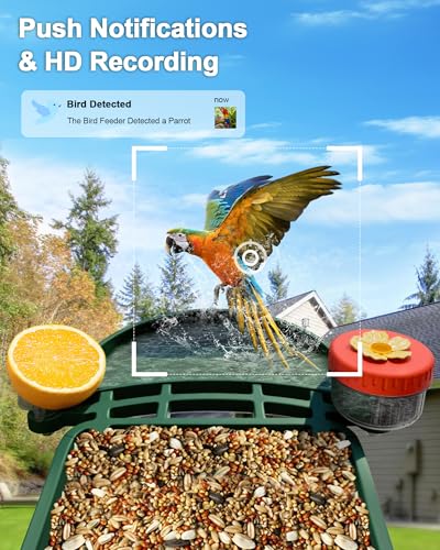 2-in-1 Smart Wild Bird Feeder & Bath with 4K HD Camera, AI Identification Solar Bird Feeder Watching Camera Night Vision for Outdoor Birds Watching Gifts for Birdlover, Red & Green - color: Red & Green
