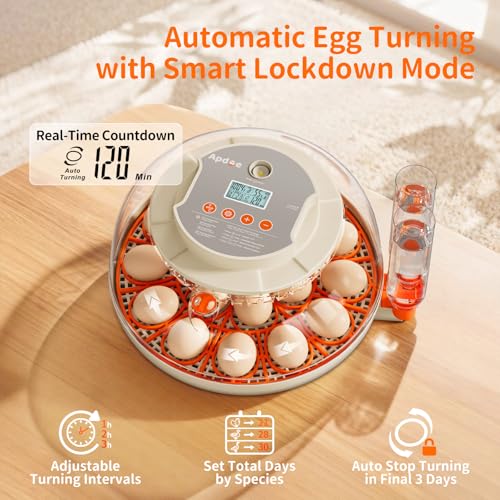APDOE Egg Incubators for Hatching Eggs, Temperature and Humidity Control, Automatic Egg Turning, Egg Candler, External Water Bottle, Air Vent, for Chicken, Duck & Quail Eggs, 18 Eggs - color: Orange, size: 18 Eggs + 8 Large Eggs