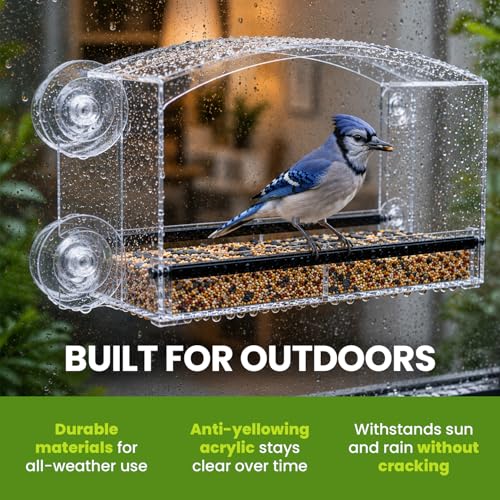 Acrylic Clear Window Bird Feeder with Strong Suction Cups, Removable Sliding Seed Tray, Weather-Resistant & Easy to Clean for Window Viewing, Dome - size: Style: Dome