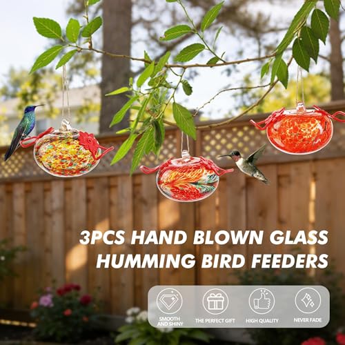 3PCS Glass Hummingbird Feeders for Outdoors Hanging Ant and Bee Proof - color: Color-D