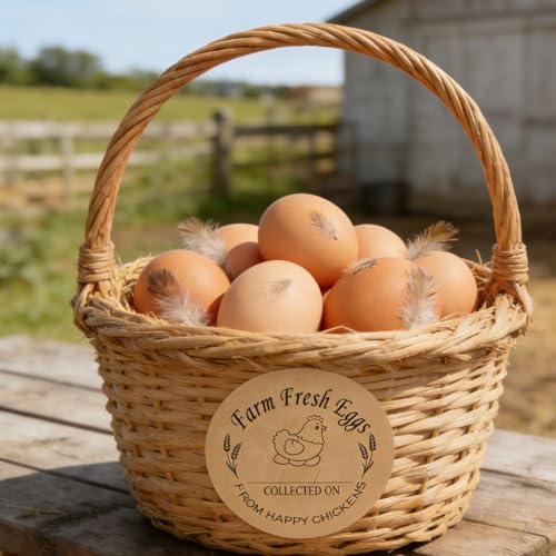500 Pcs Farm Eggs Laid On Stickers 2 inch Farm Eggs Collected Date Stickers Coop Handling Instructions Labels Egg Carton Eggs Sell