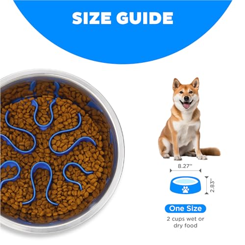 Outward Hound Fun Feeder Stainless-Steel Slo Bowl for Dogs – Medium 2‑Cup Capacity, Slow Feeding, Removable Puzzle Maze, Non-Slip, Fits Raised Feeding Platforms - color: Stainless Steel, size: Medium