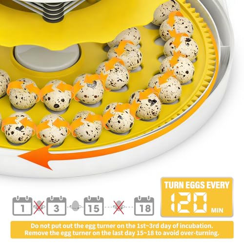 40 Quail Egg Incubator with Automatic Egg Turning Humidity Control Eggs | Large Capacity Quail Brooder Poultry Incubators, Also for Parrot, Dove, Canary and Other Birds - color: Yellow