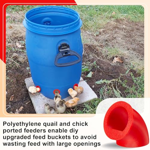 Teenyyou 20 Pack Quail Feeders No Waste Chicken Feeder Port DIY Chick Feed Saver Quail Supplies for Coturnix Small Poultry Farm Bucket Bin Container (1 Inch,Red) - color: Red, size: 1 Inch