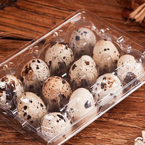 MANCHAP 150 Pack 12 Grids Plastic Quail Egg Carton Bulk, Clear Holders, Small Trays Stackable Storage Dispenser Case for Pigeon Eggs