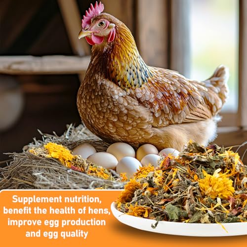 MAQIHAN 10oz Chicken Nesting Herbs - Dried Herbs Supplement for Laying Hens | Natural Chicken Treats for Nutritious Feeding, Comfortable Bedding Supplies for Nesting Pad & Box, Chicken Coop Accessories - size: 10 Ounce (Pack of 1)
