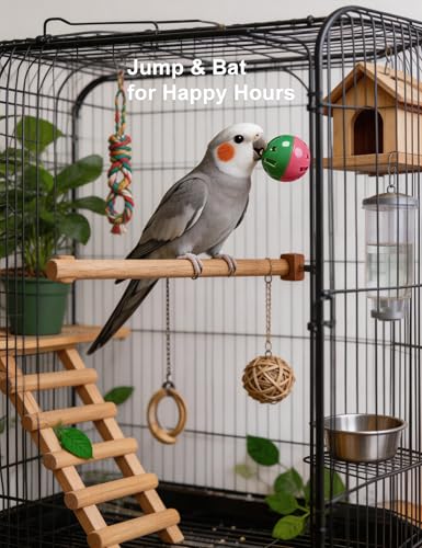 12-Pack Bird Toy Set, Bell Balls Rings Rattles, Non-Toxic PP | No Sharp Edges, Safe for Bird Beaks and Claws, Fits All Standard Cages