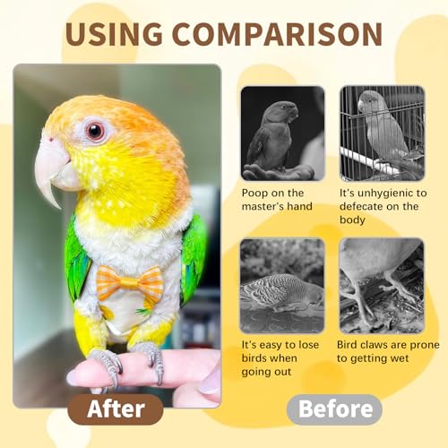 Bird Diaper, 5pcs Bird Diapers with Waterproof Inner Cute Style Pigeon Pants Chicken Diapers for Indoor Chickens Duck Parakeet Cockatiel Mini Macaw Budgie Canary Monk Parakeet Lory (M)