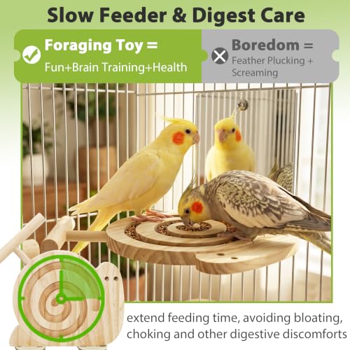 Bird Foraging Toys with Perch & Mirror, Easy for Novice/Older Birds | Kiln-Dried Wood Bird Enrichment Toy for Cage, Slow Feeder & Interaction Puzzle Toy to Reduce Seed Mess, Visible Food Design - size: with mirror