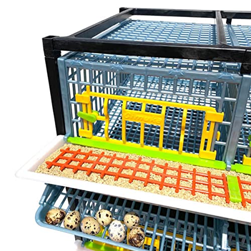 Cimuka Quail Breeding Cage Indoor – 2 Layer Stackable Quail Pens & Coops | 38.6" x 24" x 35.8" Easy Clean, Rust-Free, Plastic Breeder System with Removable Walls & Egg Collection Trays - style: Traditional