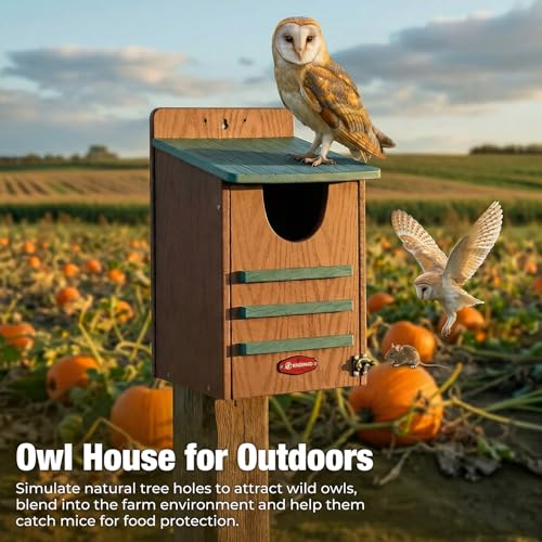 Kingsyard Large Recycled Plastic Wooden Owl House, Waterproof Screech Owl Bird Boxes for Outside, Owl Nesting Box Kit with Screws Ideal for Wildlife, Elf, Pygmy, Garden, Air Ventilation. Green