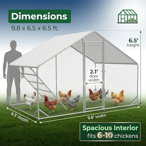 Efficraft Walk-in Chicken Coop, 9.8 x 6.5 x 6.5 ft, Cover & Perch | 9.8 x 6.5 x 6.5 ft walk-in metal run with stability braces, weather cover, and eucalyptus roosting perch. - size: 78"L x118"W x 78"H