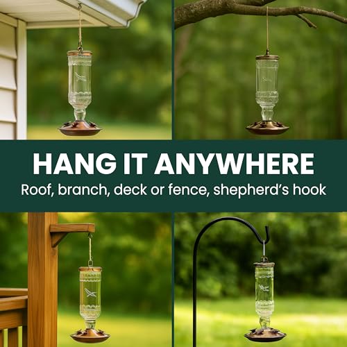Perky-Pet Antique Glass Bottle Hummingbird Feeder - Outdoor Garden Décor Hummingbird Feeder - 8107-1SR - 10 Fl Oz Nectar Capacity - Durable Humming bird Feeder for Backyards, Porches, Decks, Hooks - style: Clear Bottle