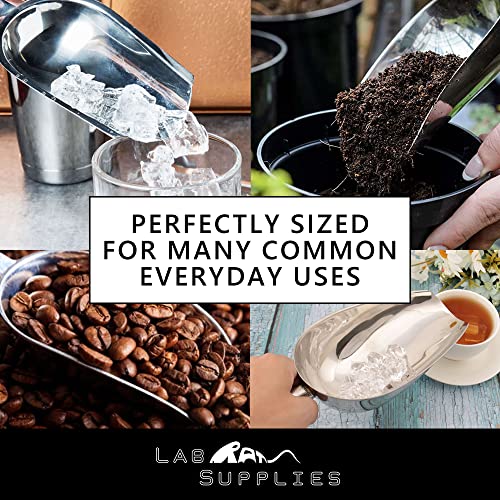 12 oz Stainless Steel Scoop, 10” L x 3.3” W | for Ice, Dog & Cat Food, Popcorn, Coffee, Candy, Sugar, Flour, Dry Goods, etc. - size: 12 oz Scoop